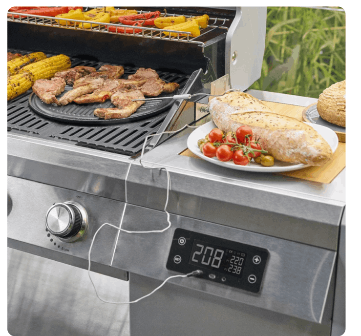 GrillSteam Pro